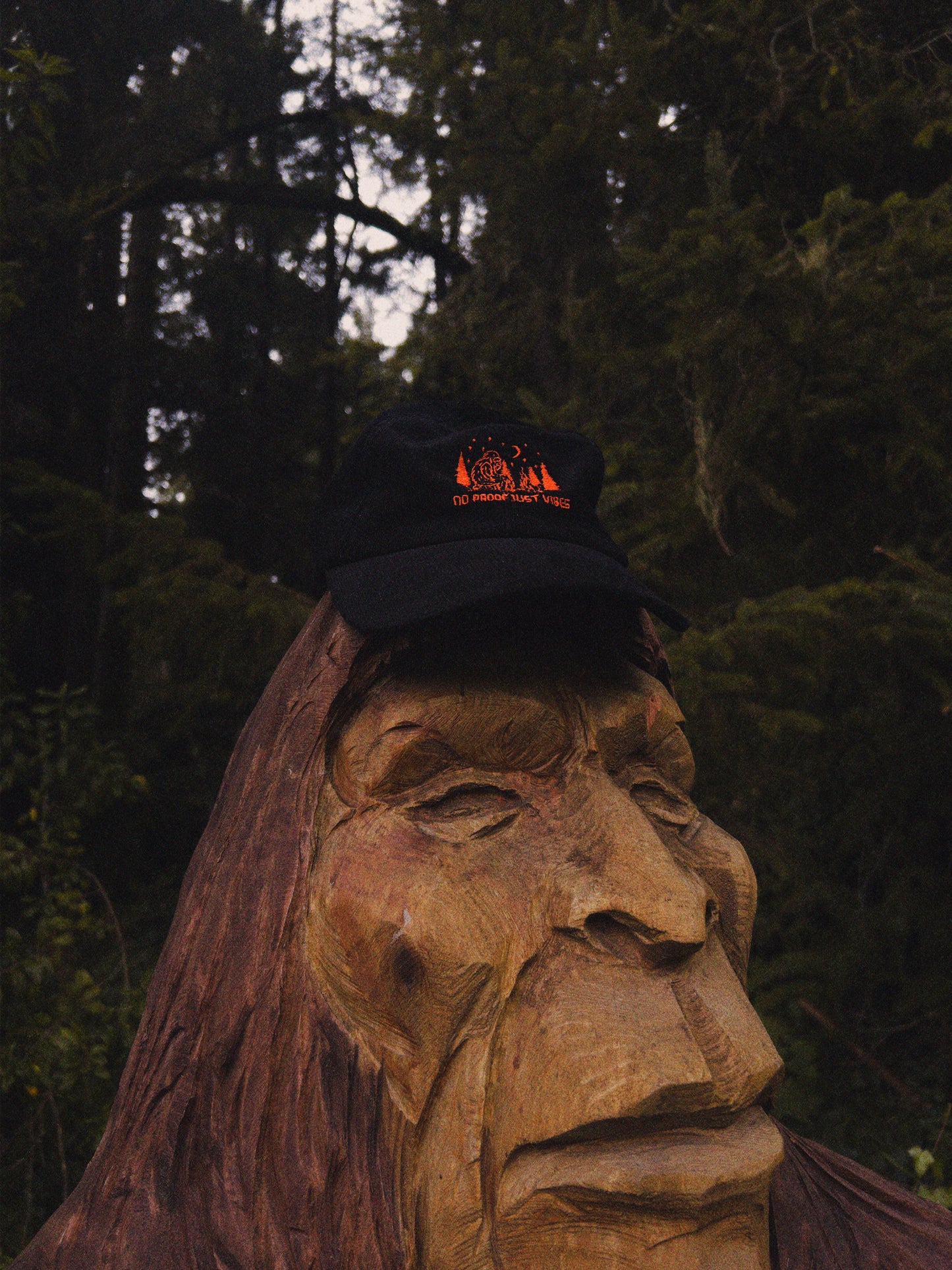 No1. No Proof Just Vibes Hat