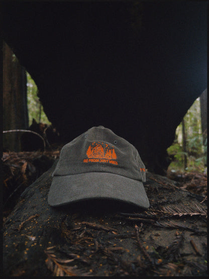 No1. No Proof Just Vibes Hat