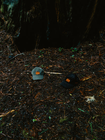 No1. No Proof Just Vibes Hat